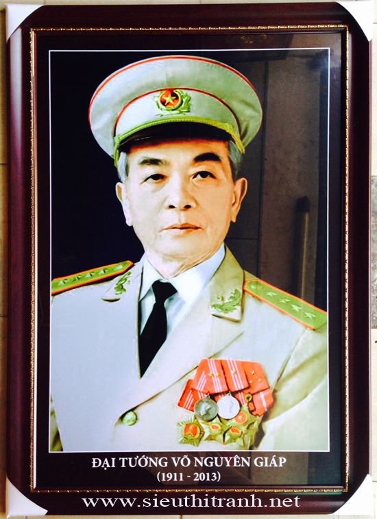 Chân Dung Đại Tướng Võ Nguyên